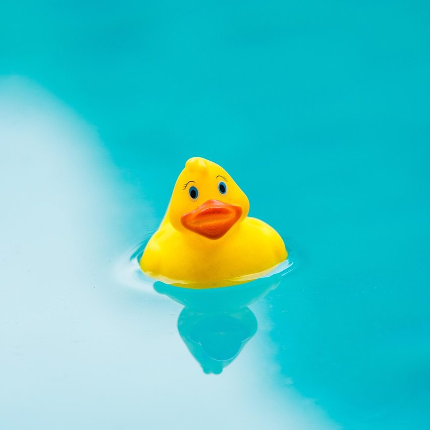rubber duck, rubber duckie, pool, bath, swimming pool, swimming, rubber duck, rubber duck, pool, pool, swimming pool, swimming pool, swimming pool, swimming pool, swimming pool, swimming, swimming